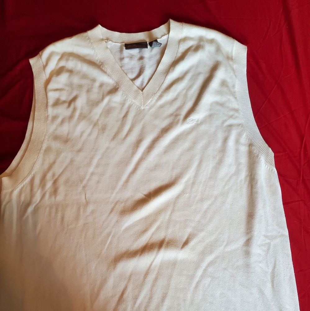 V neck sweater vest